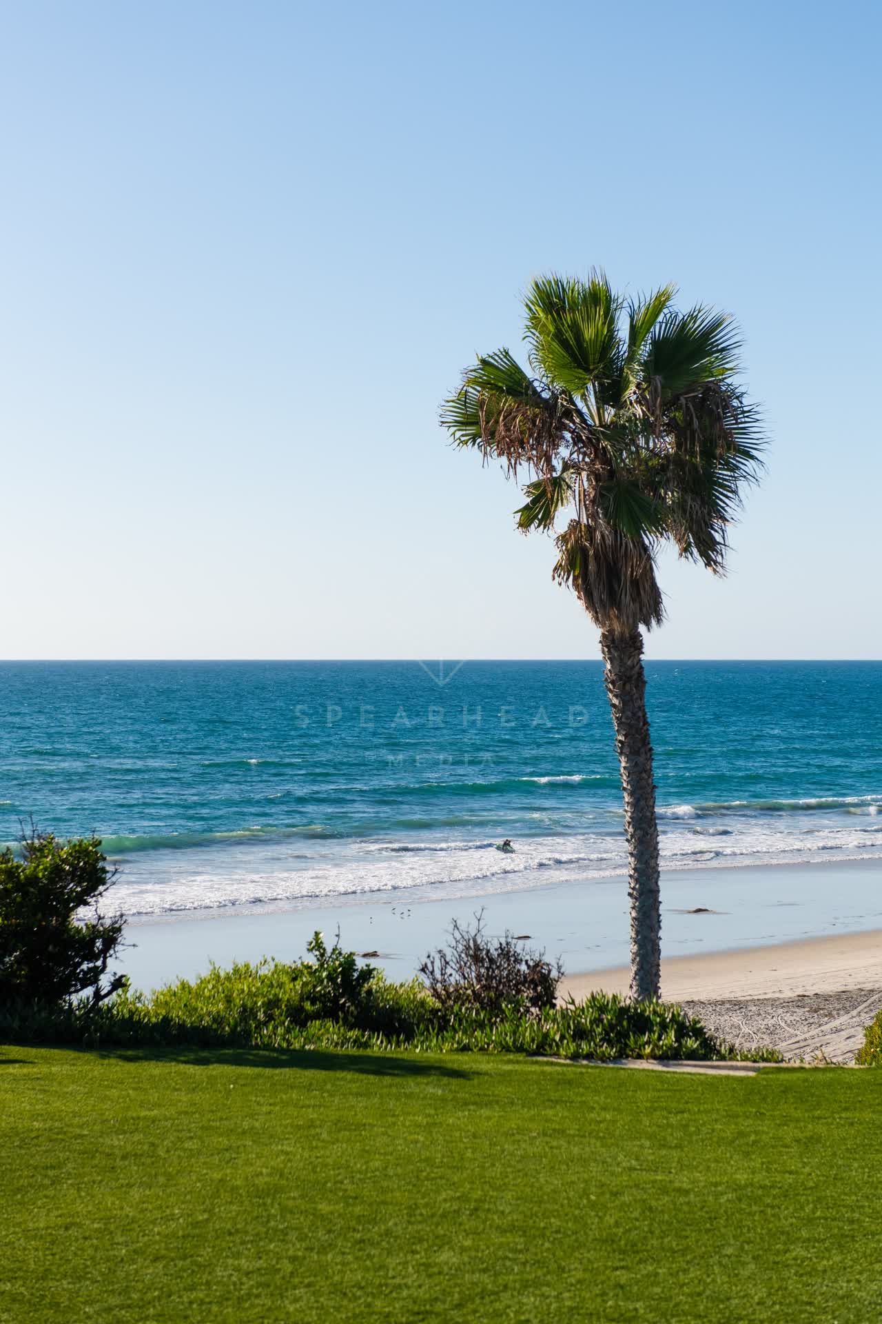 Elevated view of the beach, the surf and palm trees at Fletcher Cove.