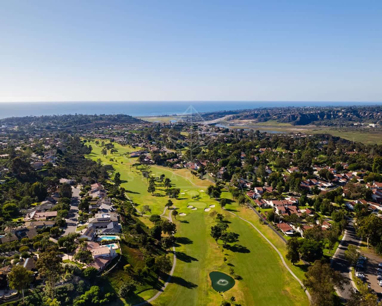 Aerial view of a residential street, palm trees and the ocean in Solana Beach.