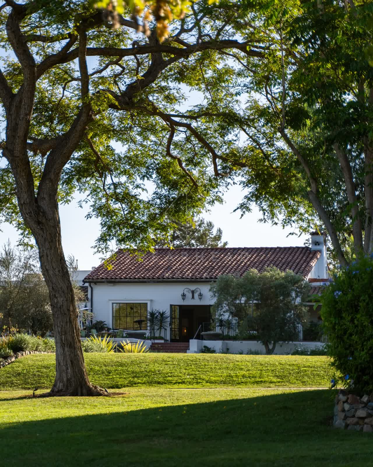 A residential street, palm trees and homes at Covenant.