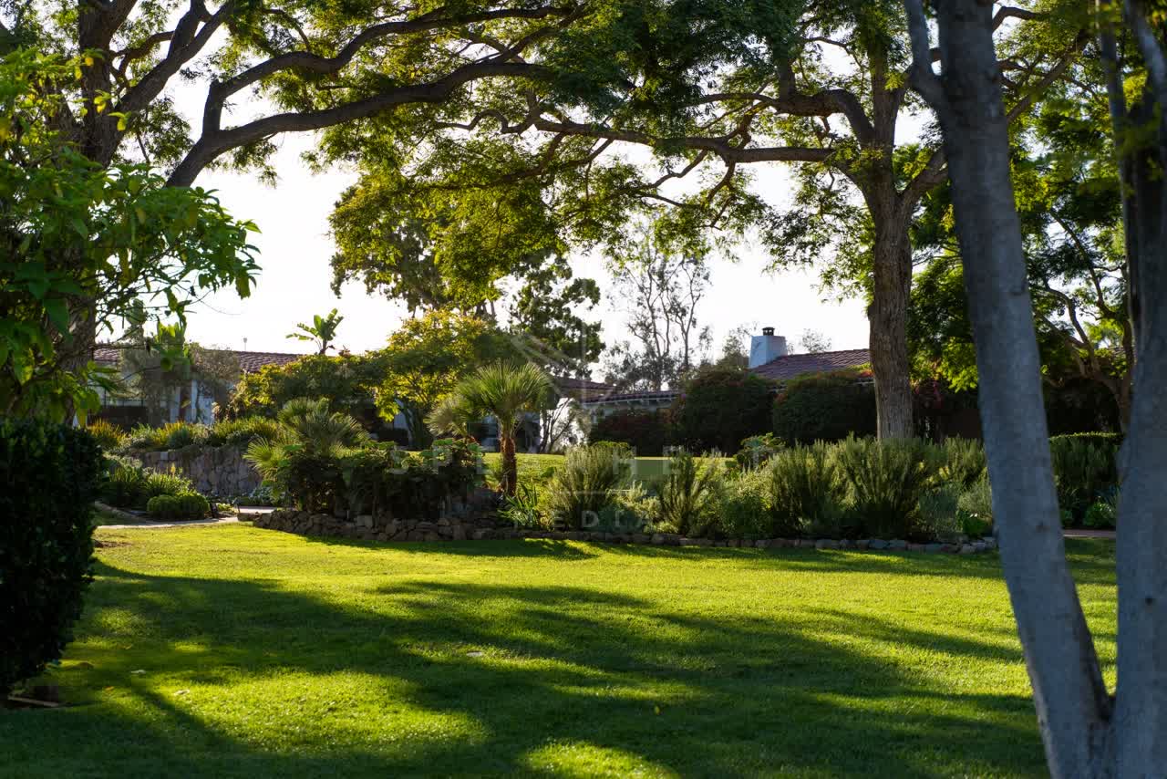 A park, palm trees and homes at Covenant.
