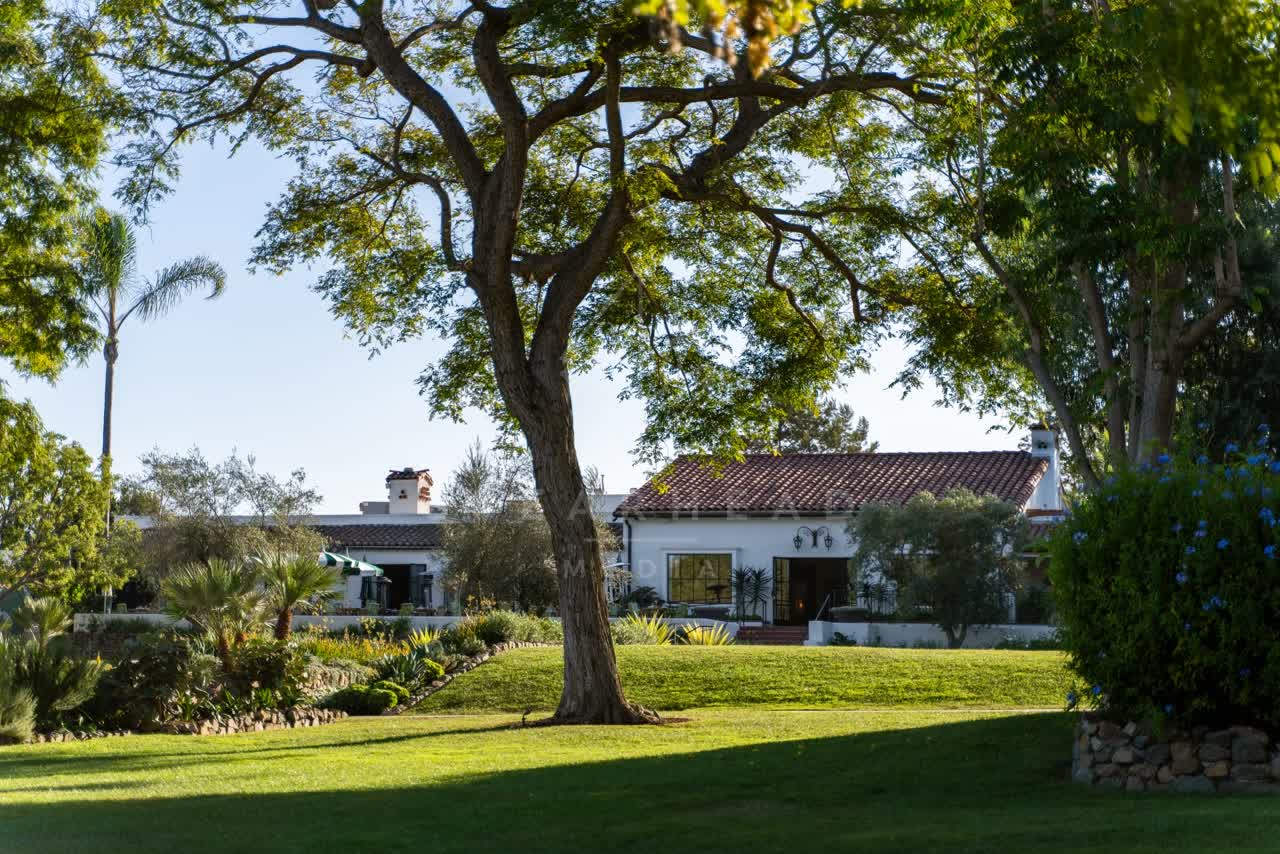 A residential street, palm trees and homes at Covenant.