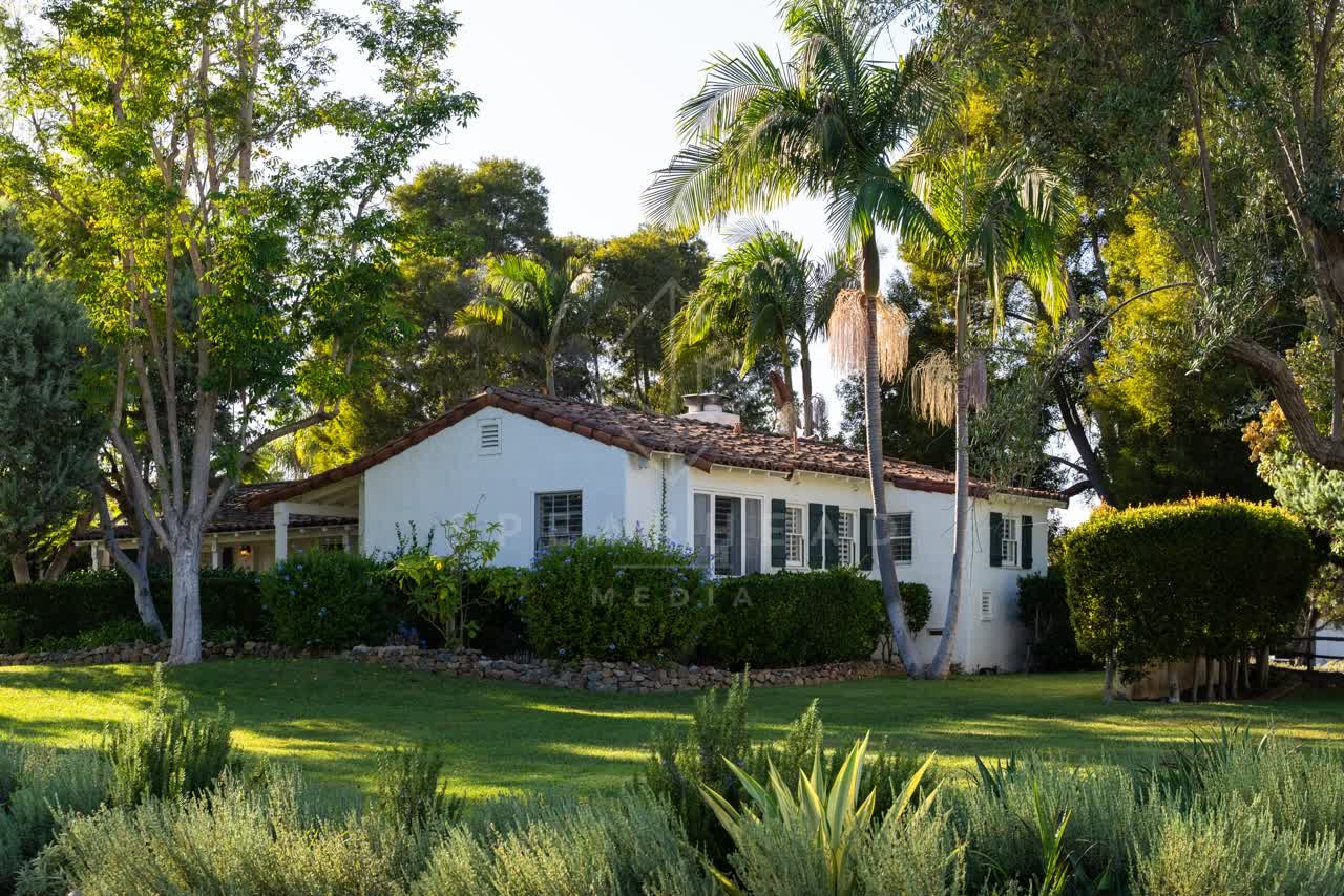 A residential street, palm trees and homes at Covenant.