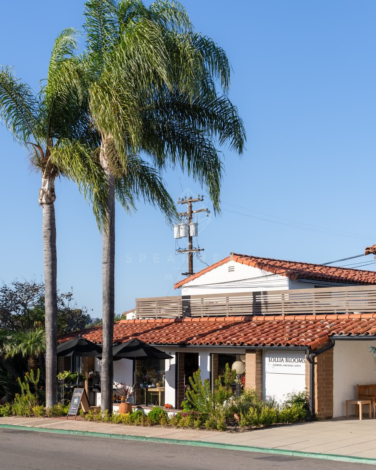 The downtown streets, palm trees and homes at Covenant.
