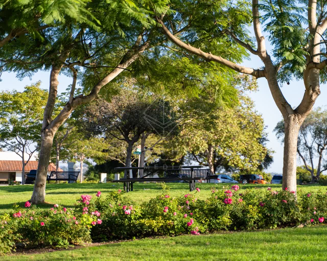 A park, traffic and open country at Covenant.