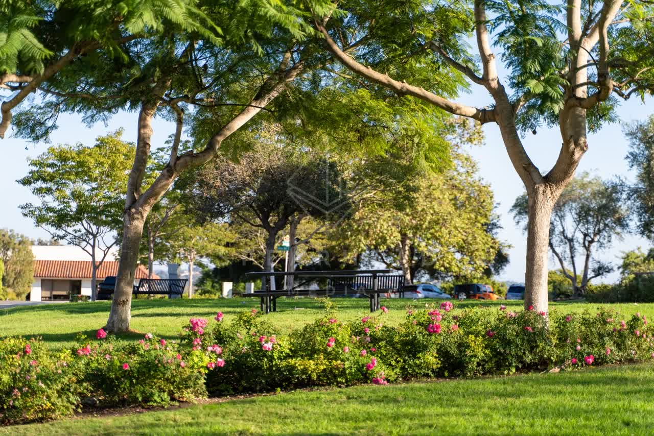 A park, traffic and open country at Covenant.
