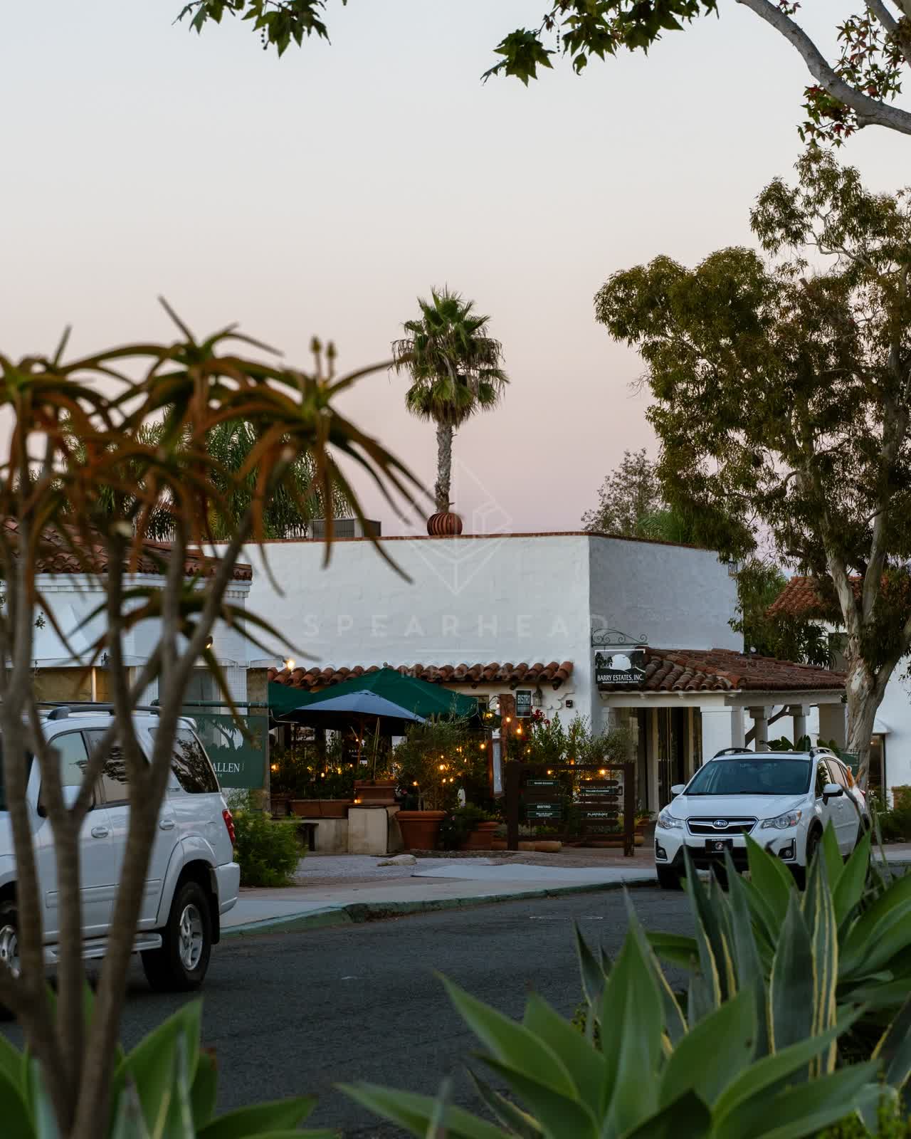 The downtown streets, palm trees and homes at Covenant.