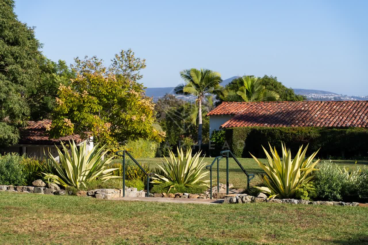 A residential street, palm trees and homes at Covenant.