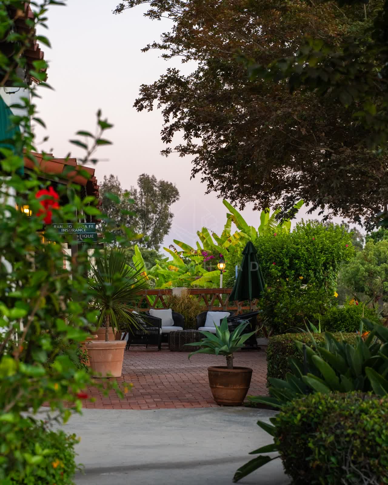 A residential street, palm trees and the buildings at Covenant.