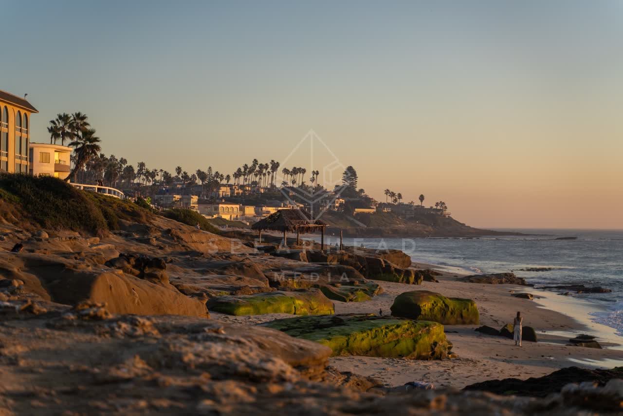 The beach, palm trees and the ocean at Windansea, with people walking.