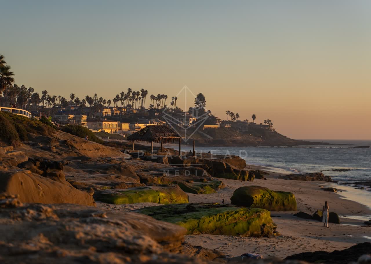 Elevated view of the cliffs, palm trees and the ocean at Windansea, with people walking.