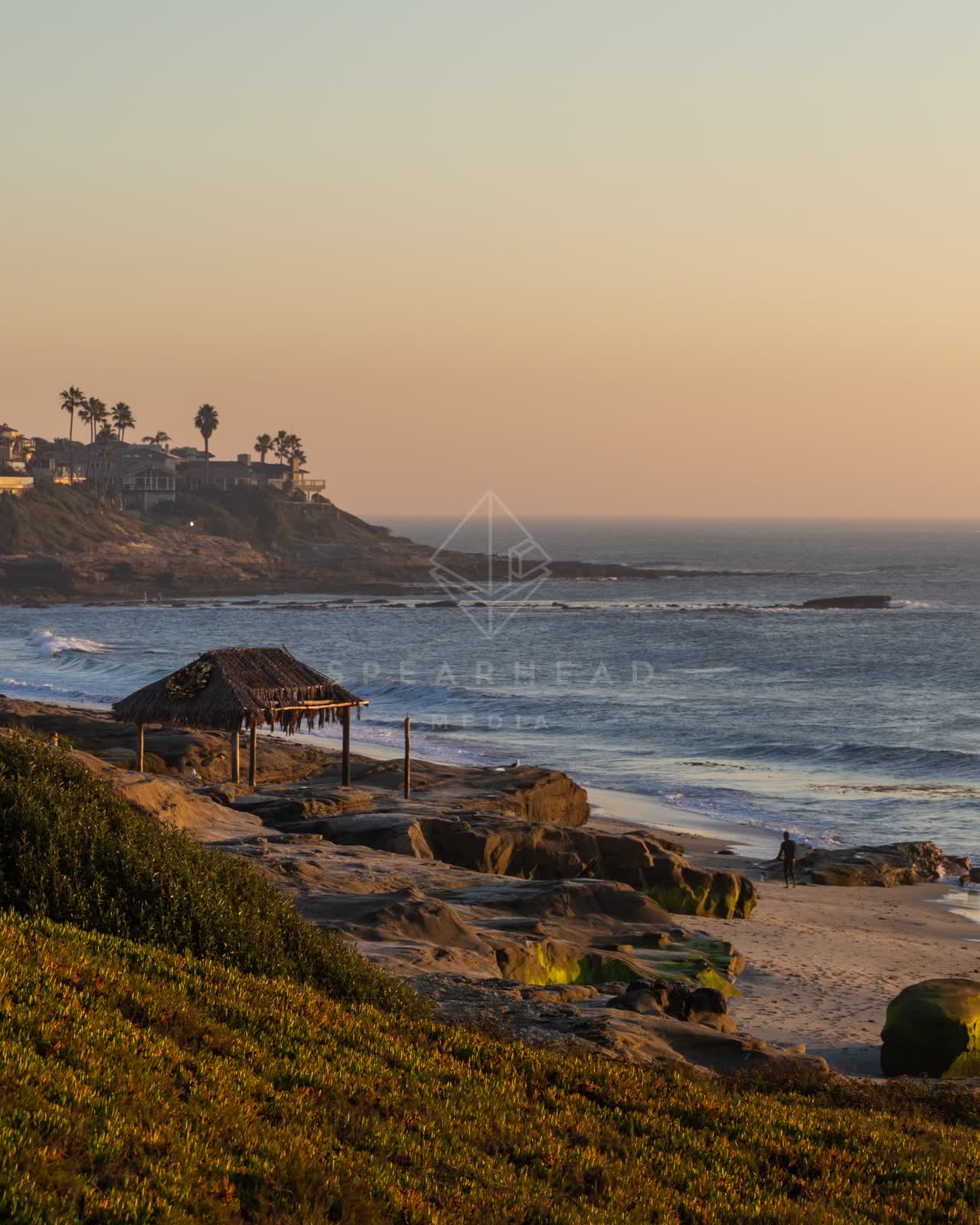 Elevated view of the beach, the surf and palm trees at Windansea, with people walking.