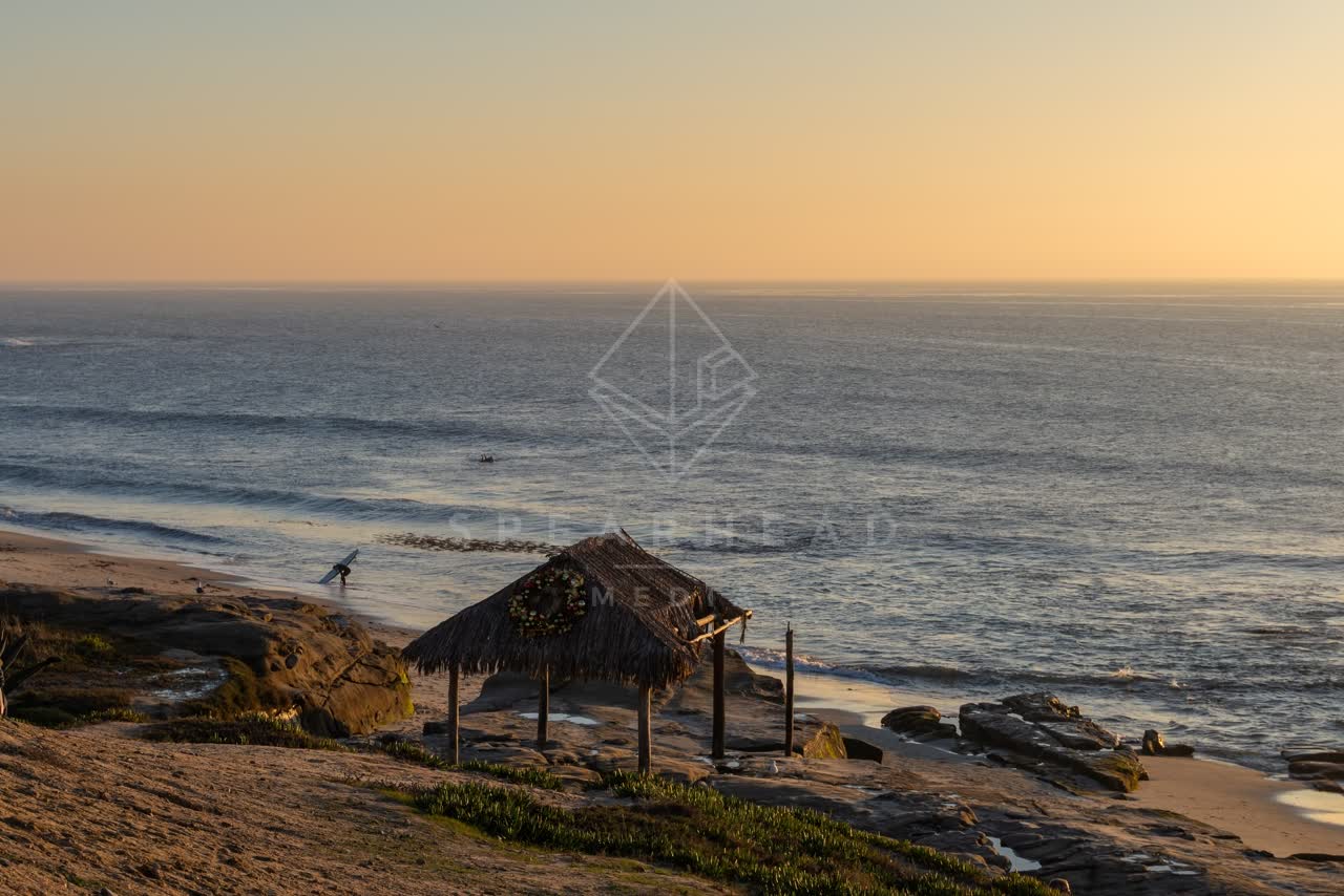 Elevated view of the beach, the surf and the ocean at Windansea, with surfers out.