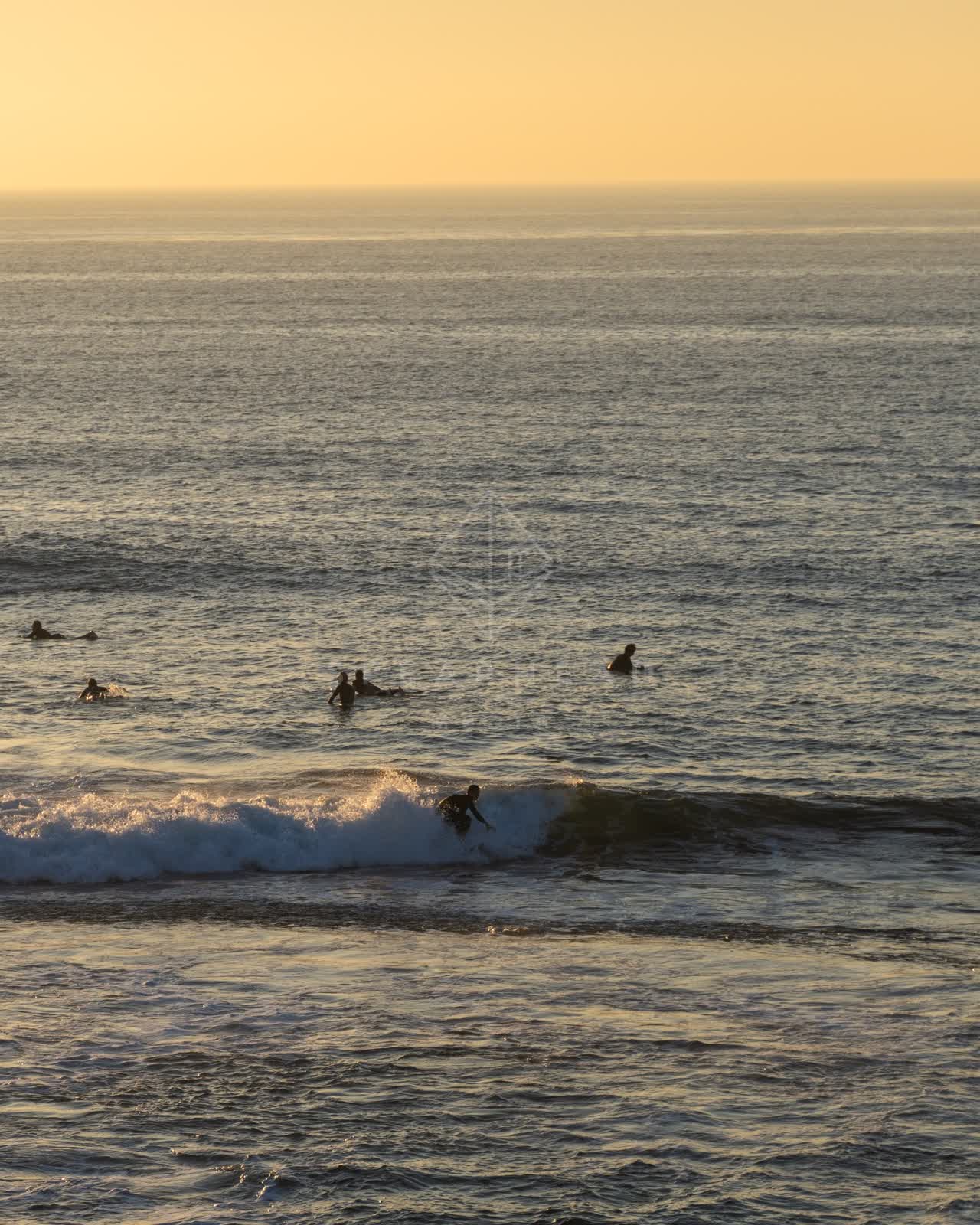 Elevated view of the beach, the surf and the ocean at Windansea, with surfers out.