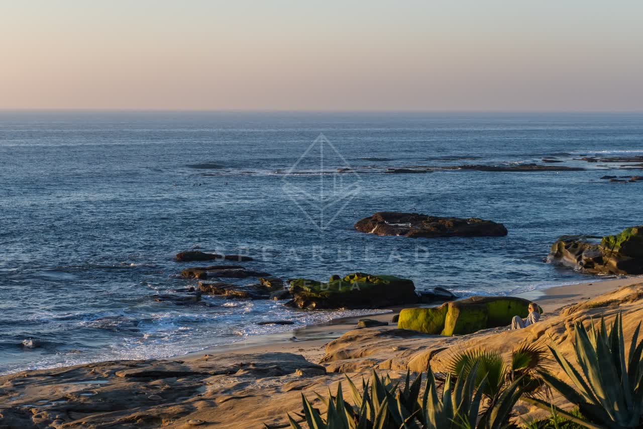 Elevated view of the cliffs, the ocean and the beach at Windansea.