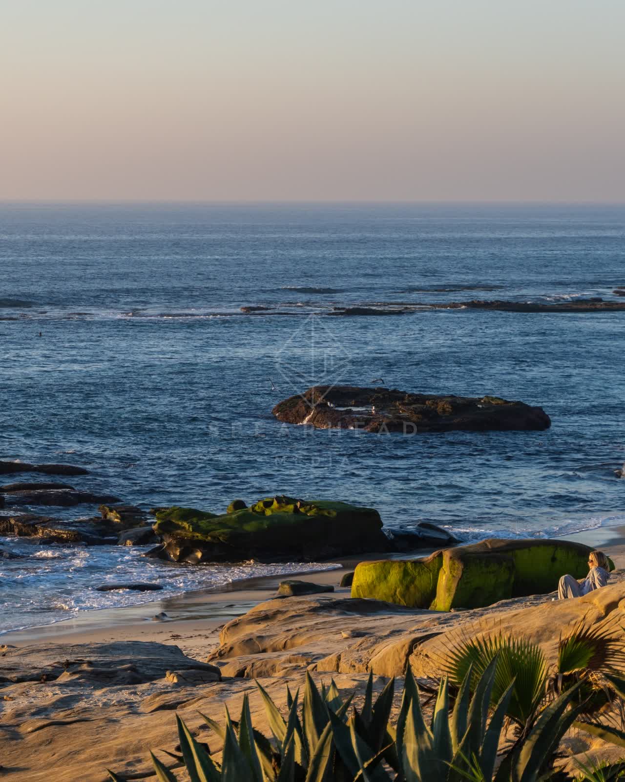 Elevated view of the cliffs, palm trees and the ocean at Windansea.