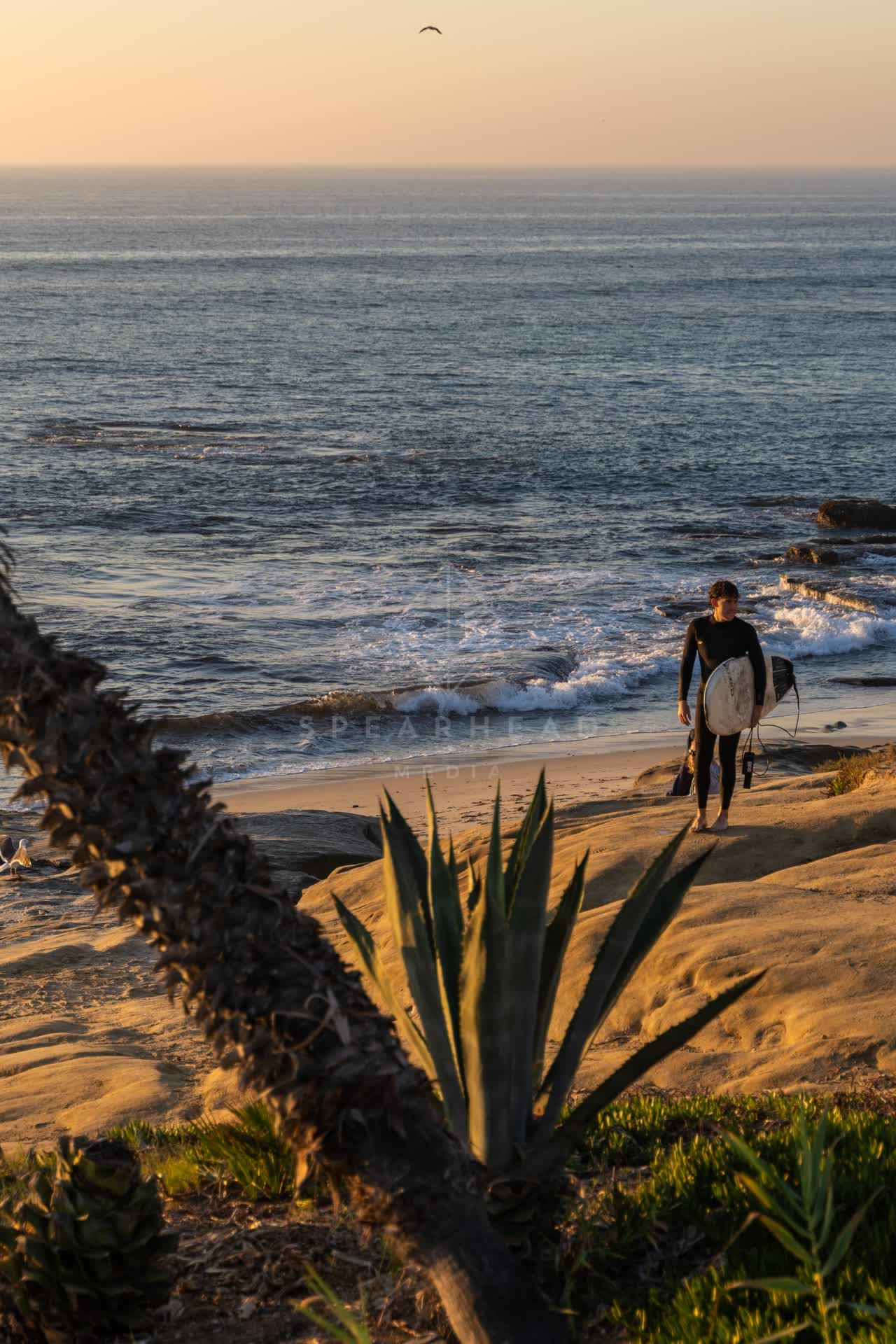 Elevated view of the beach, the surf and the ocean at Windansea, with surfers out.