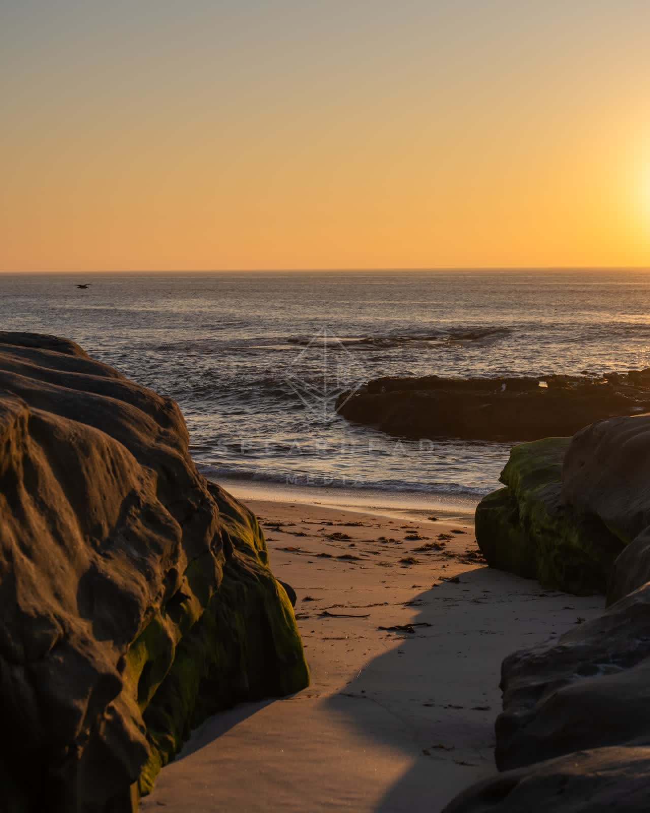 The beach, the ocean and the cliffs at Windansea.