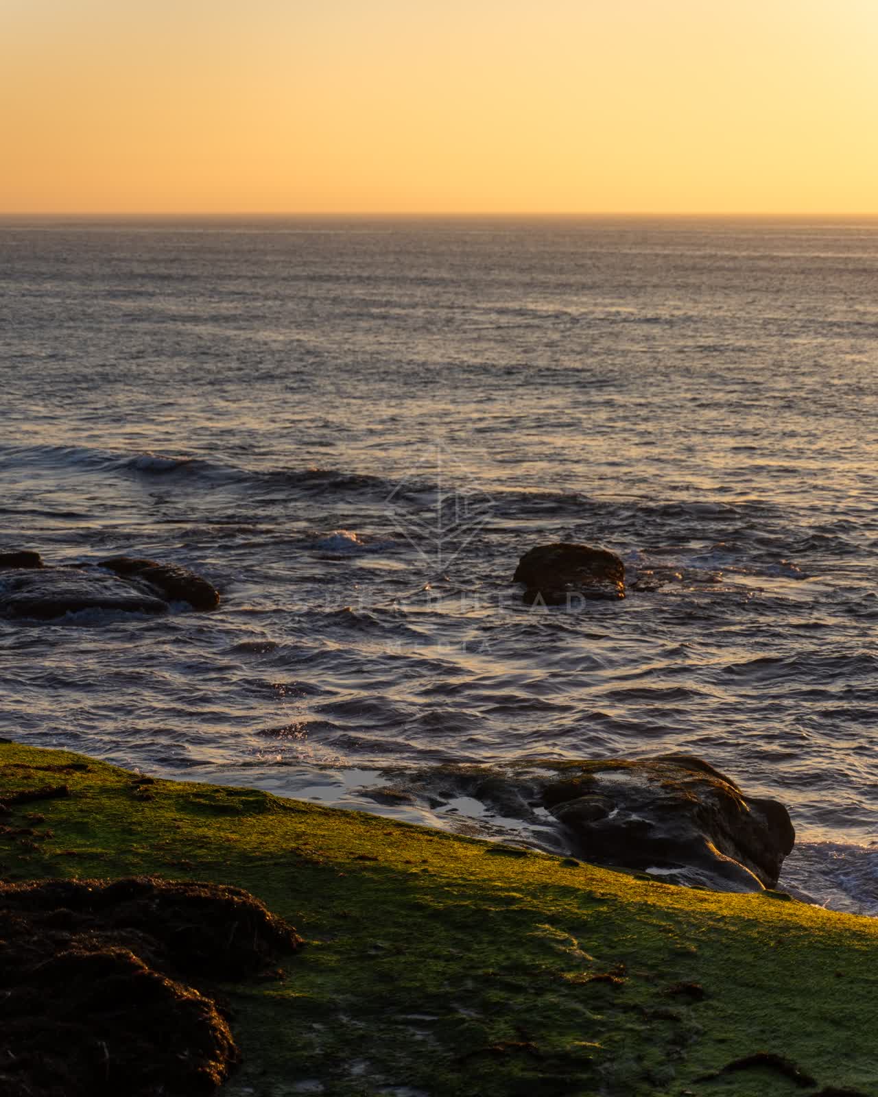 Elevated view of the cliffs, the surf and the ocean at Windansea.
