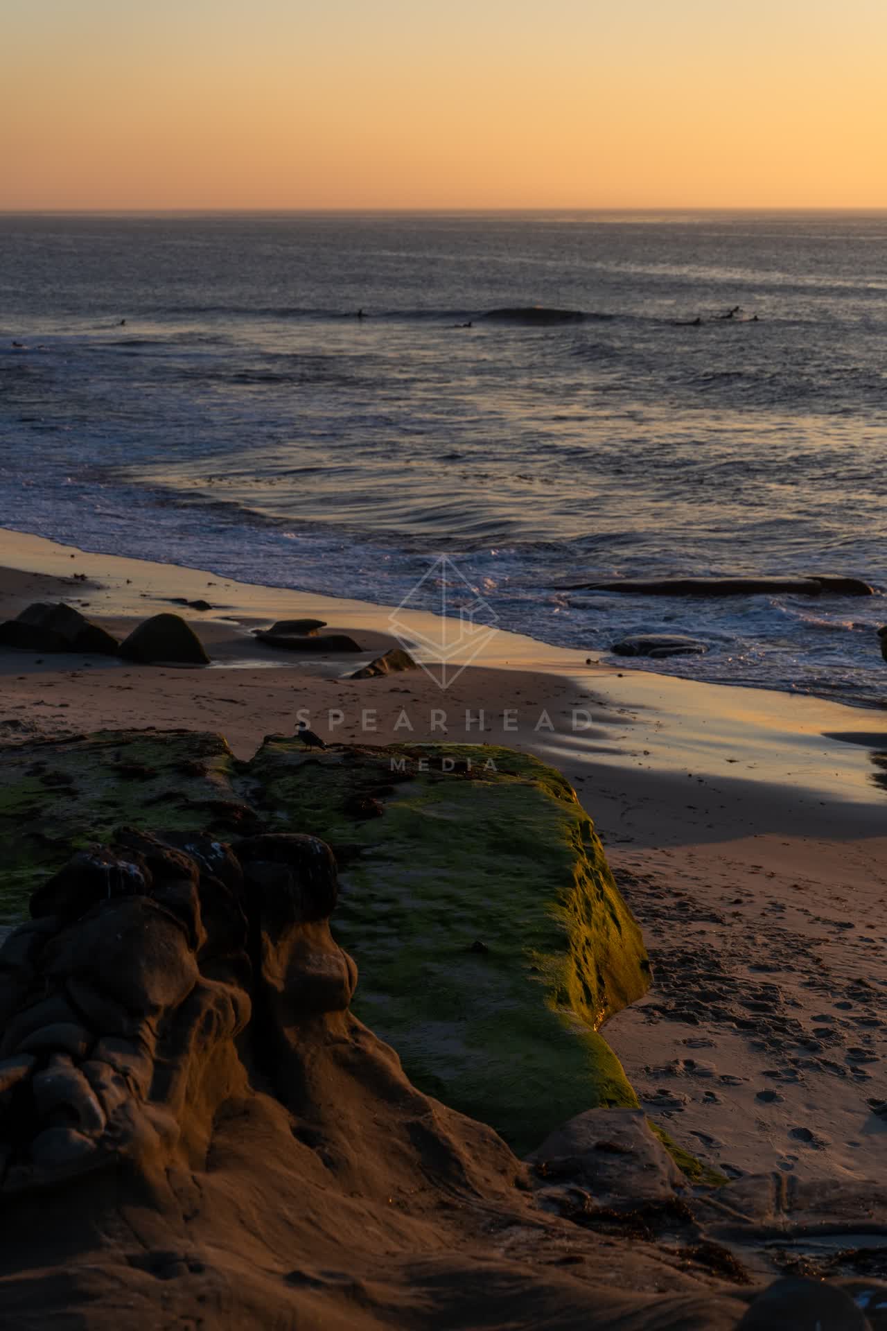 Elevated view of the beach, the surf and the ocean at Windansea, with surfers out.