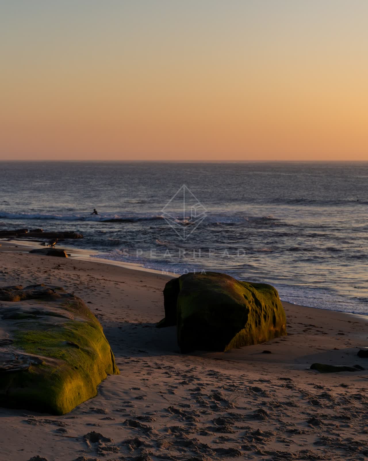 The beach, the surf and wildlife at Windansea, with surfers out.