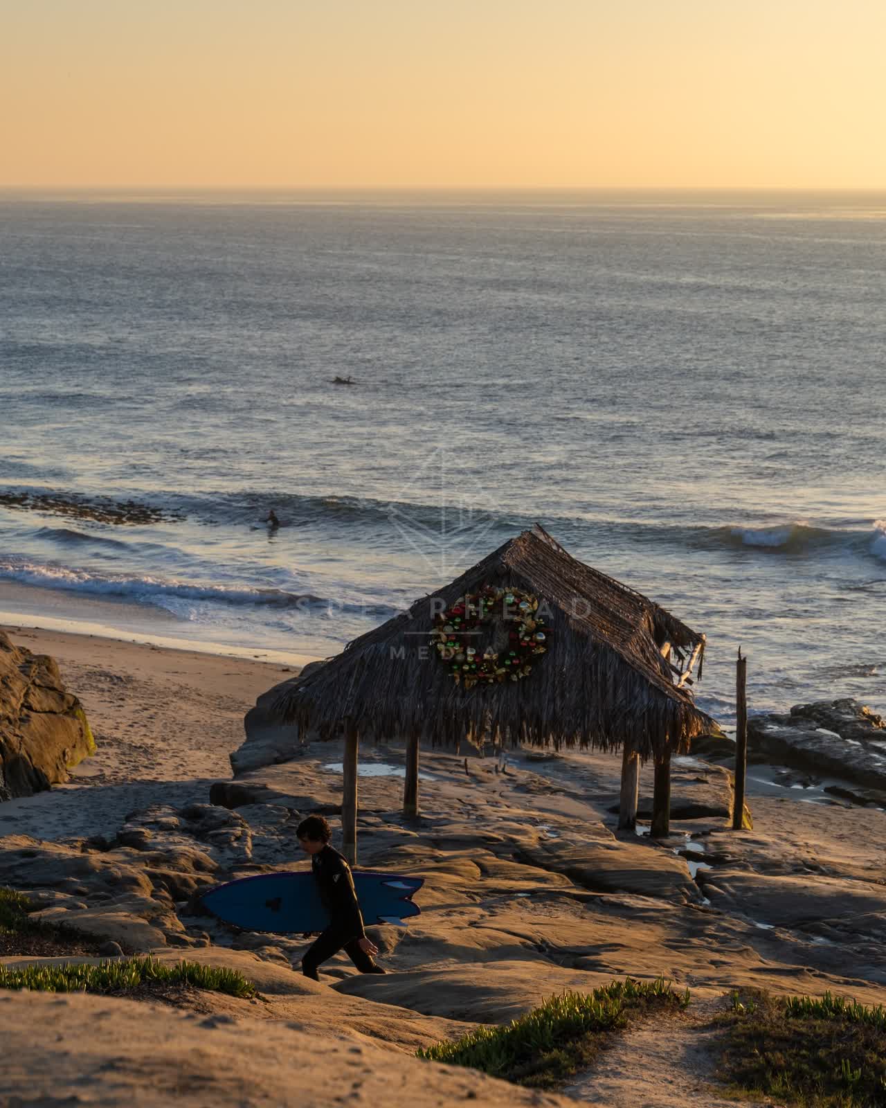 Elevated view of the beach, the surf and the ocean at Windansea, with surfers out.