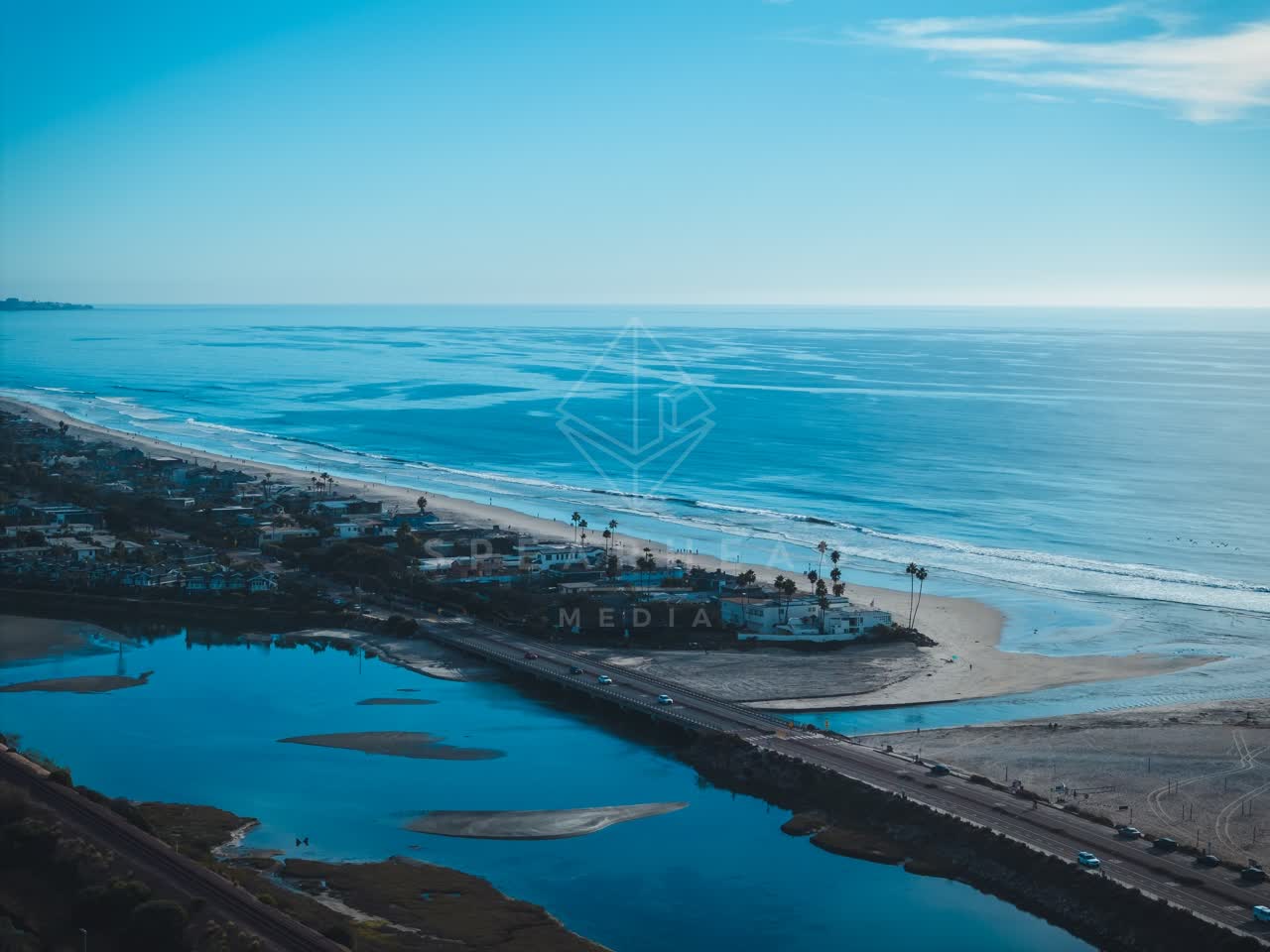 Aerial view of the beach, the surf and palm trees at Del Mar Dog Beach.