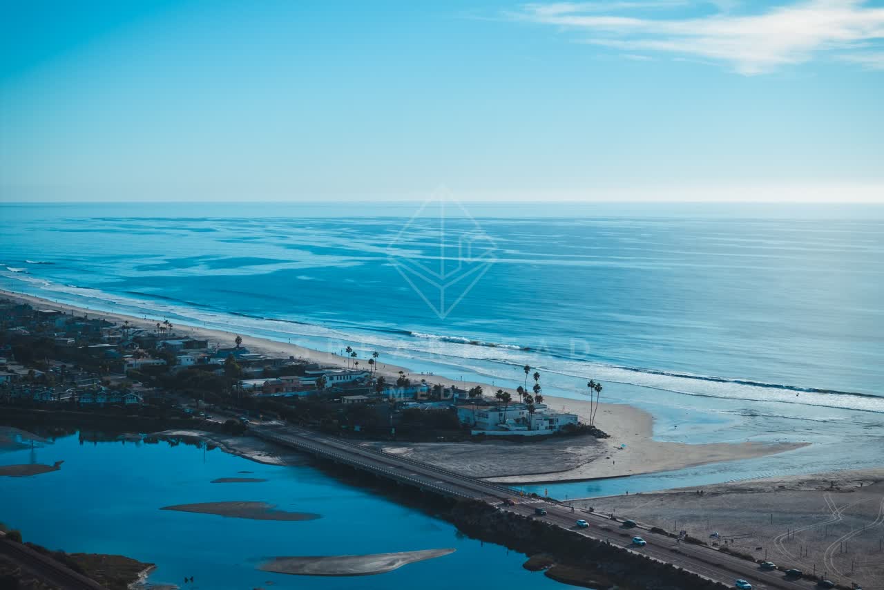 Aerial view of the beach, palm trees and the ocean at Del Mar Dog Beach.