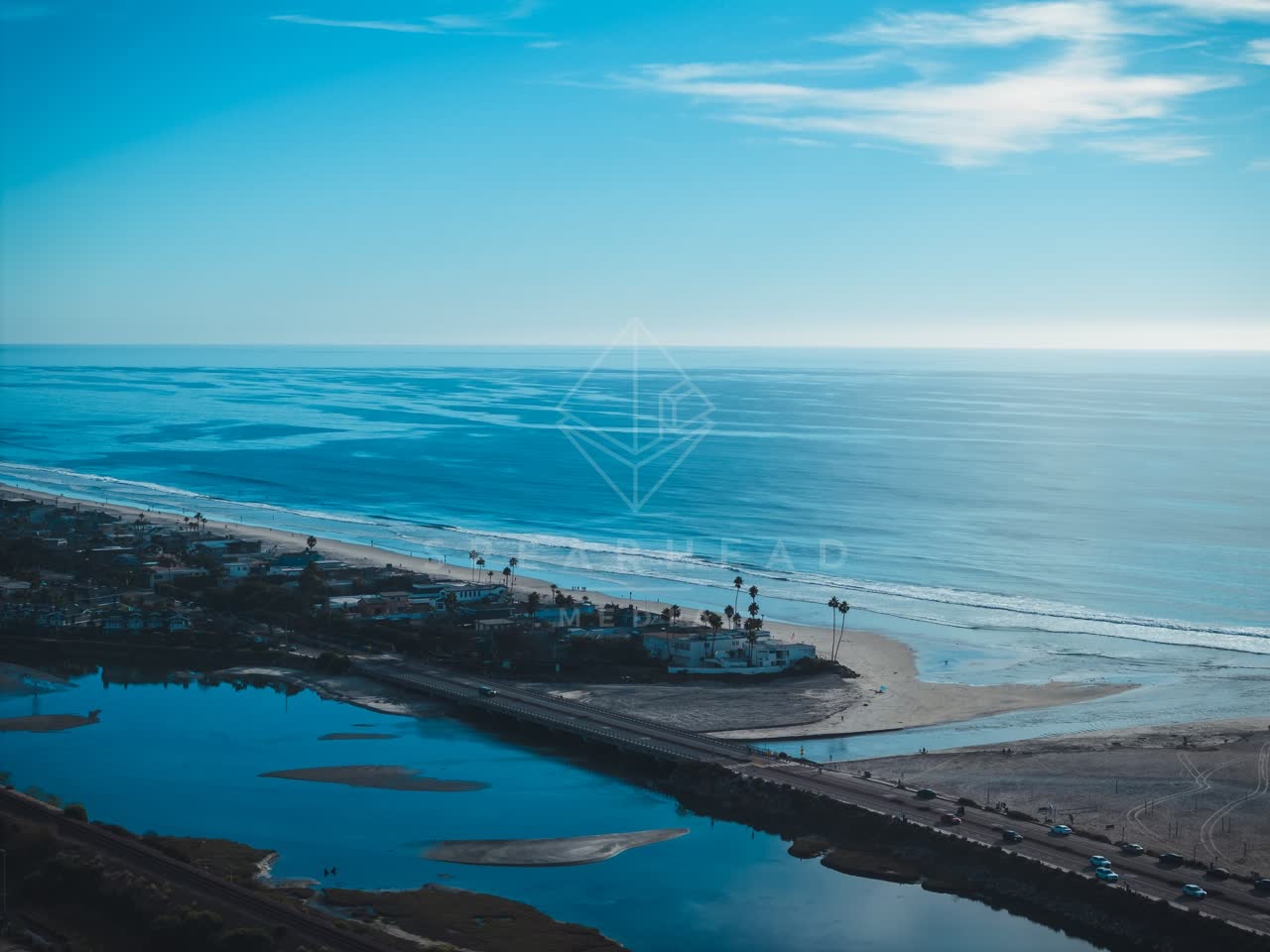 Aerial view of the beach, palm trees and the ocean at Del Mar Dog Beach.