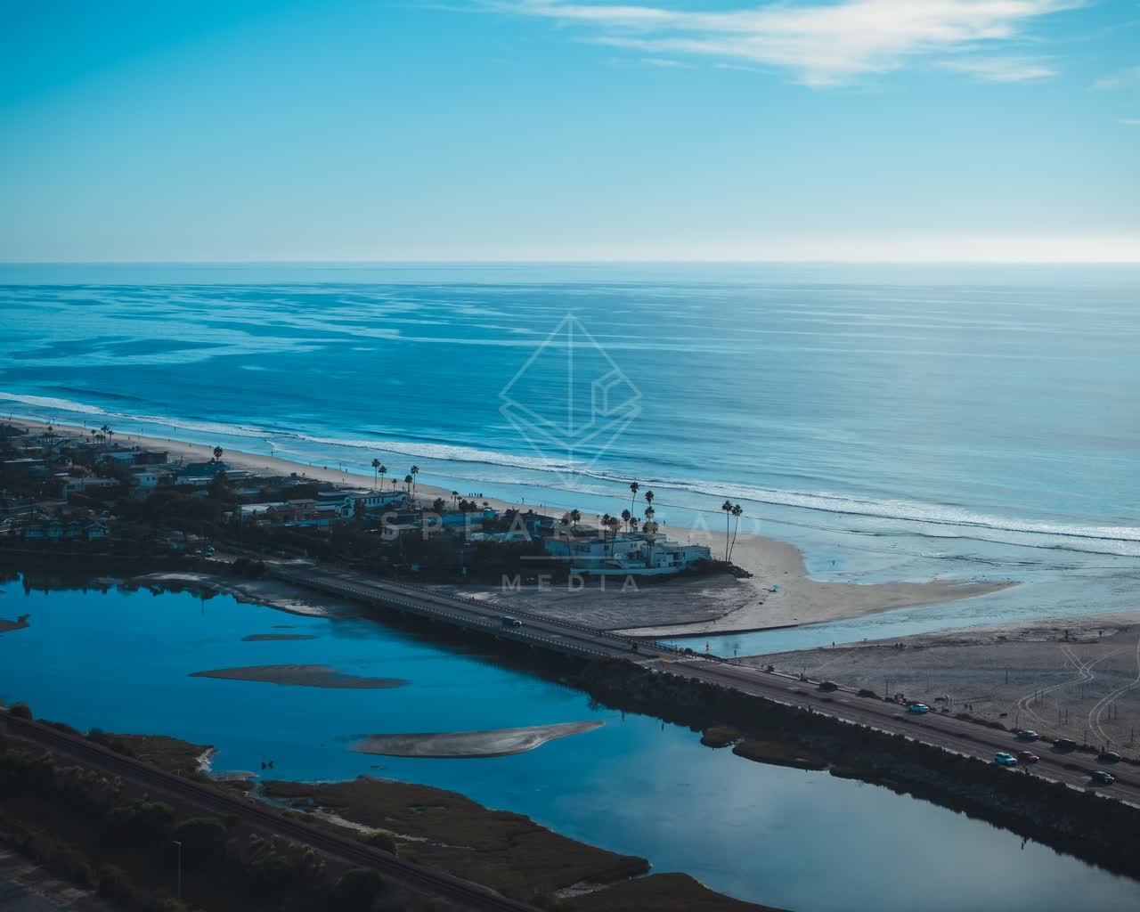 Aerial view of the beach, palm trees and the ocean at Del Mar Dog Beach.