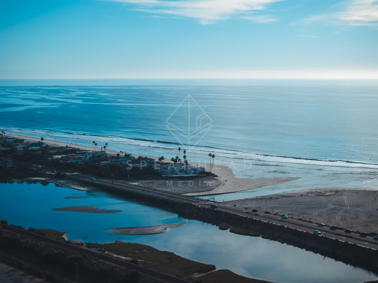 Aerial view of the beach, the surf and palm trees at Del Mar Dog Beach.