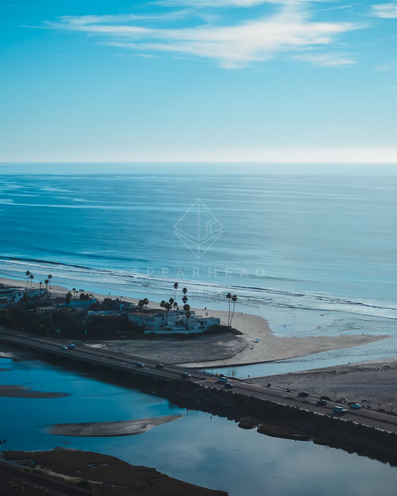 Aerial view of the beach, the surf and palm trees at Del Mar Dog Beach.
