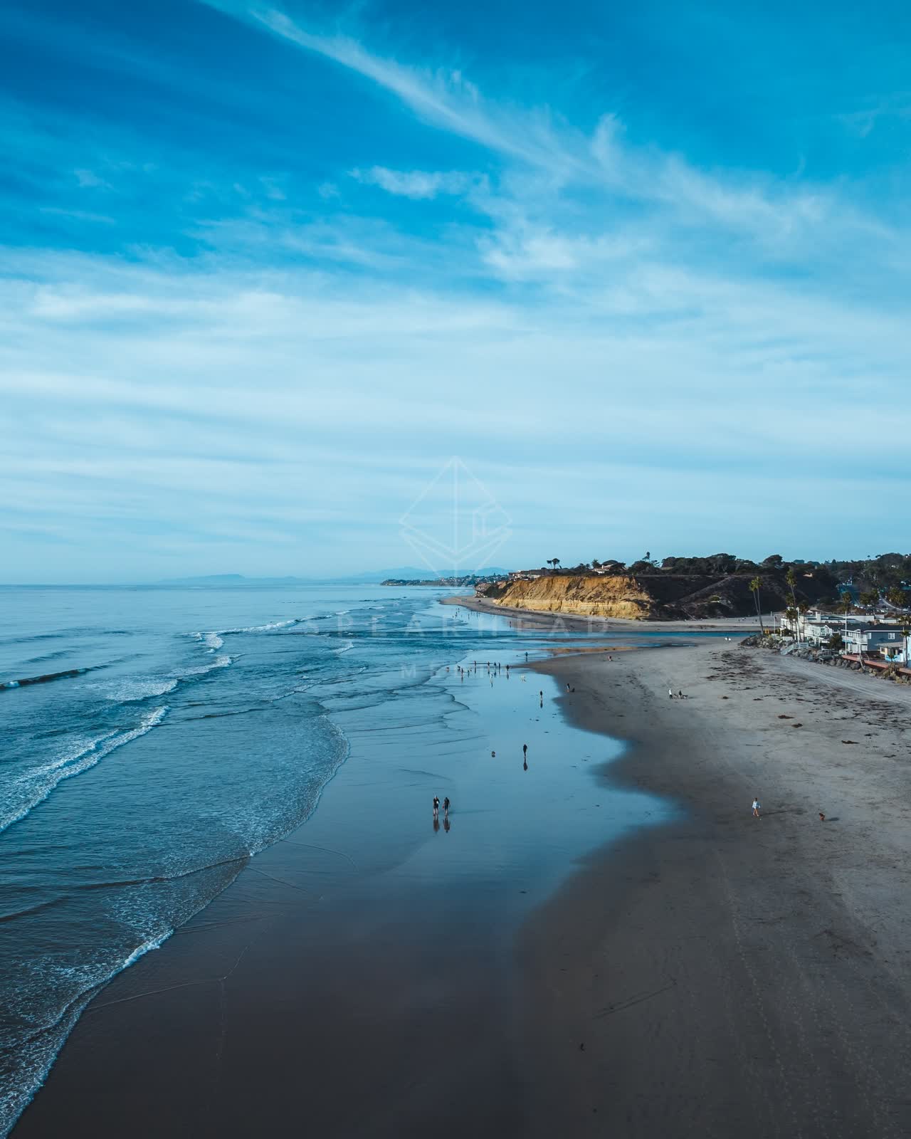 Aerial view of the beach, the surf and palm trees at Del Mar Dog Beach, with people walking.