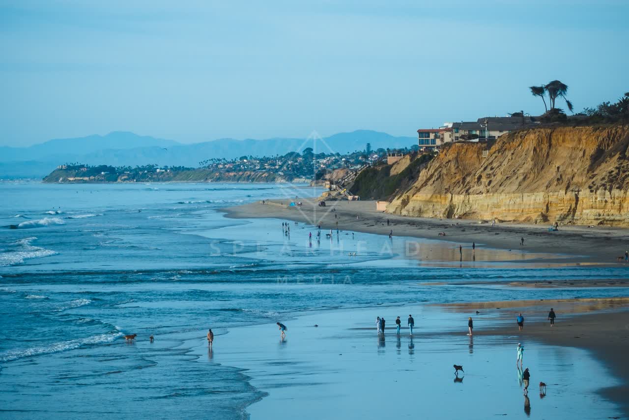 Low aerial view of the beach, wildlife and palm trees at Del Mar Dog Beach, with people walking.