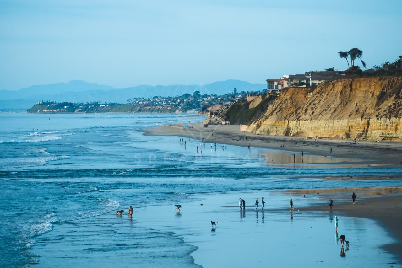 Elevated view of the beach, the surf and wildlife at Del Mar Dog Beach, with people walking.