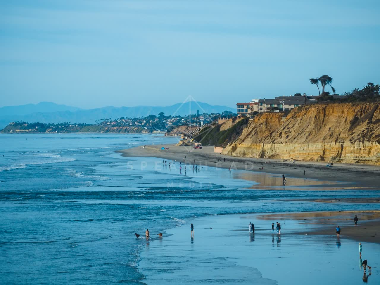 Low aerial view of the beach, wildlife and palm trees at Del Mar Dog Beach, with people walking.