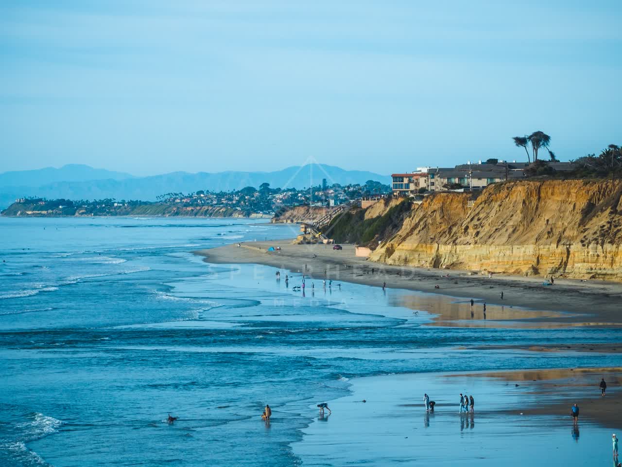 Aerial view of the beach, palm trees and the ocean at Del Mar Dog Beach, with people walking.