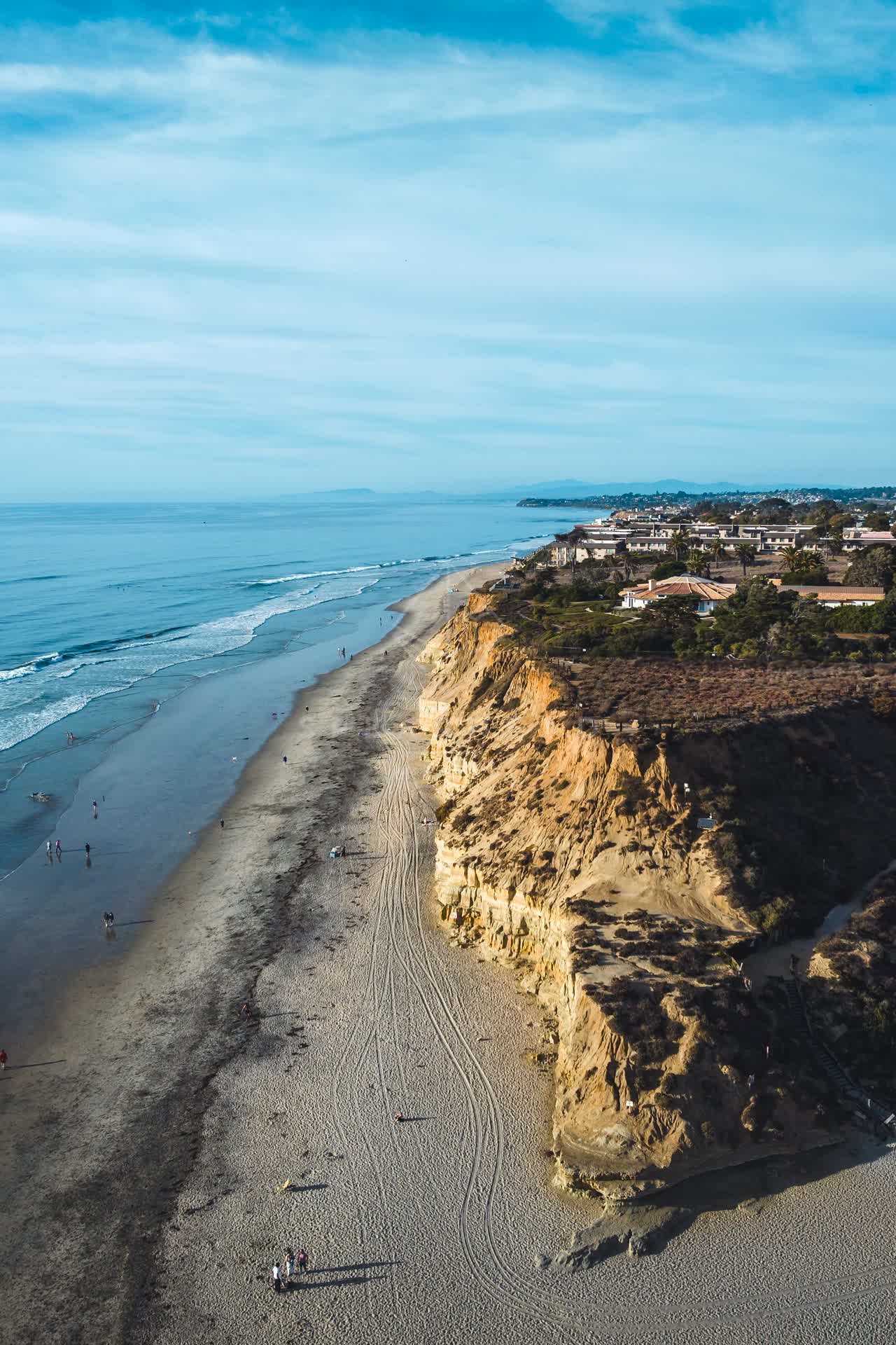 Aerial view of the cliffs, palm trees and the ocean at Del Mar Dog Beach, with people walking.