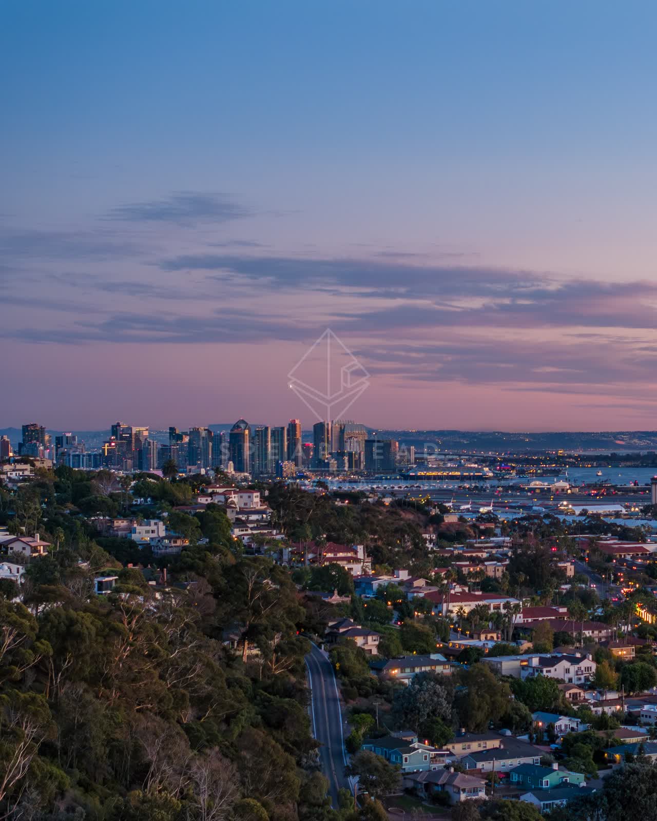 Aerial view of a residential street, the skyline and palm trees in Downtown San Diego.