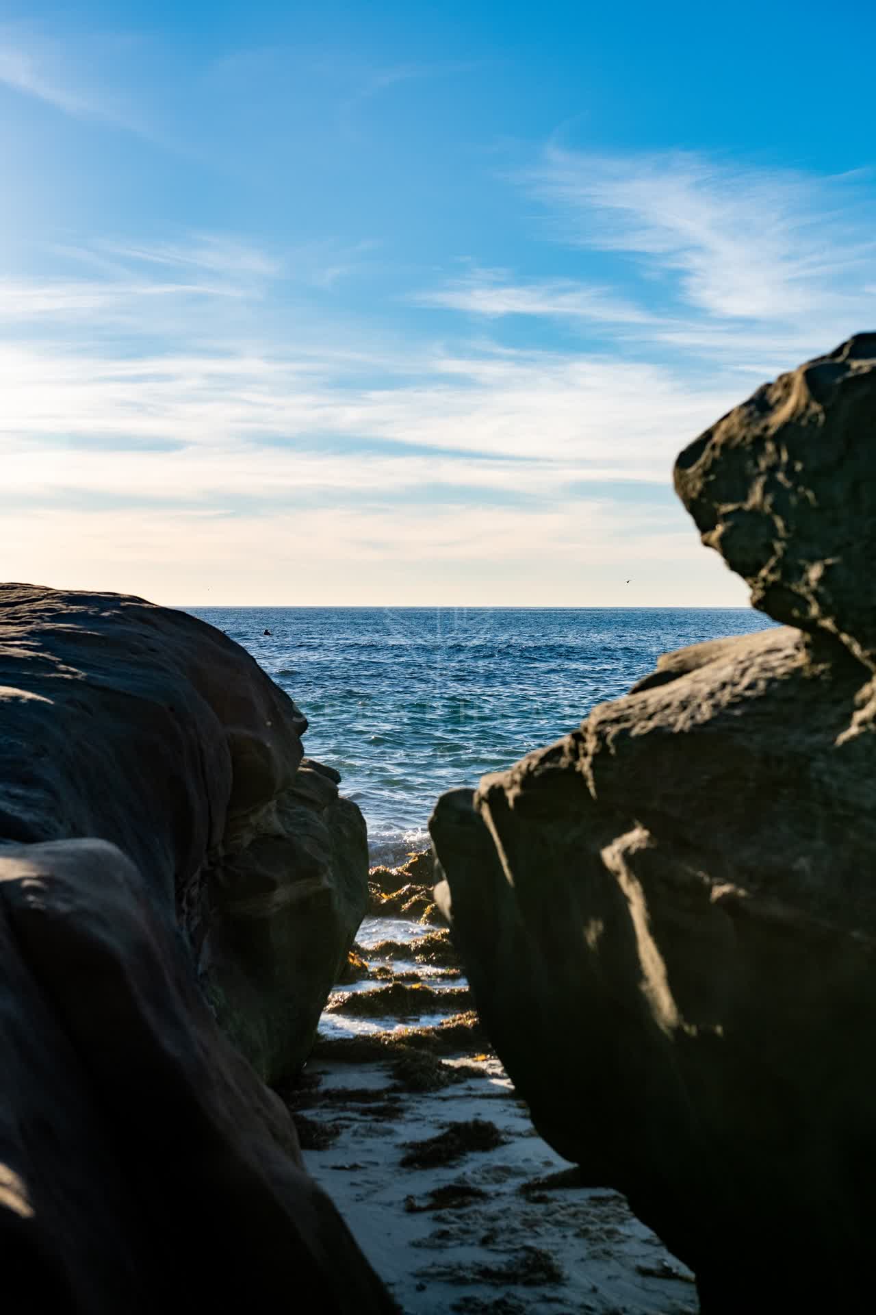 The cliffs, the ocean and open country at Windansea.