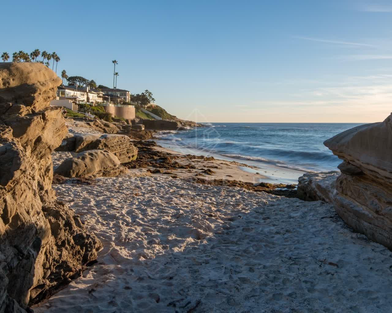 The beach, the surf and palm trees at Windansea.