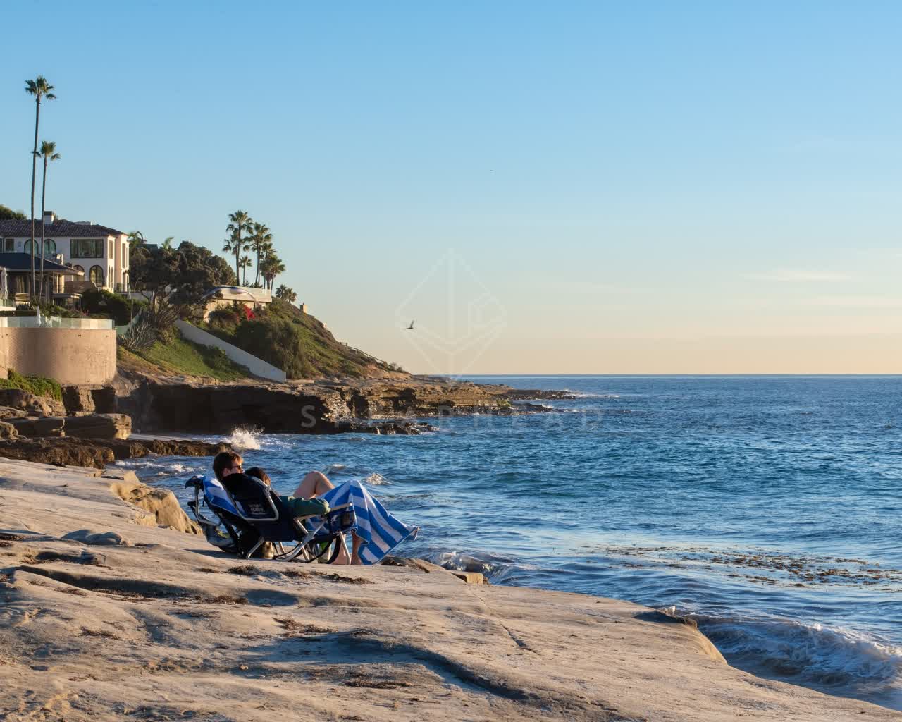 The cliffs, palm trees and the ocean at Windansea.