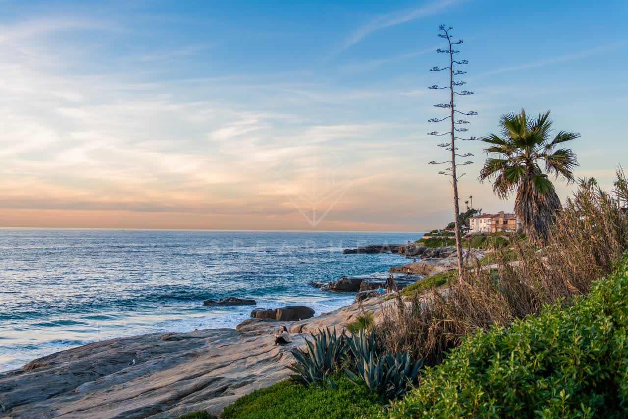Elevated view of the cliffs, palm trees and the ocean at Windansea, with people walking.