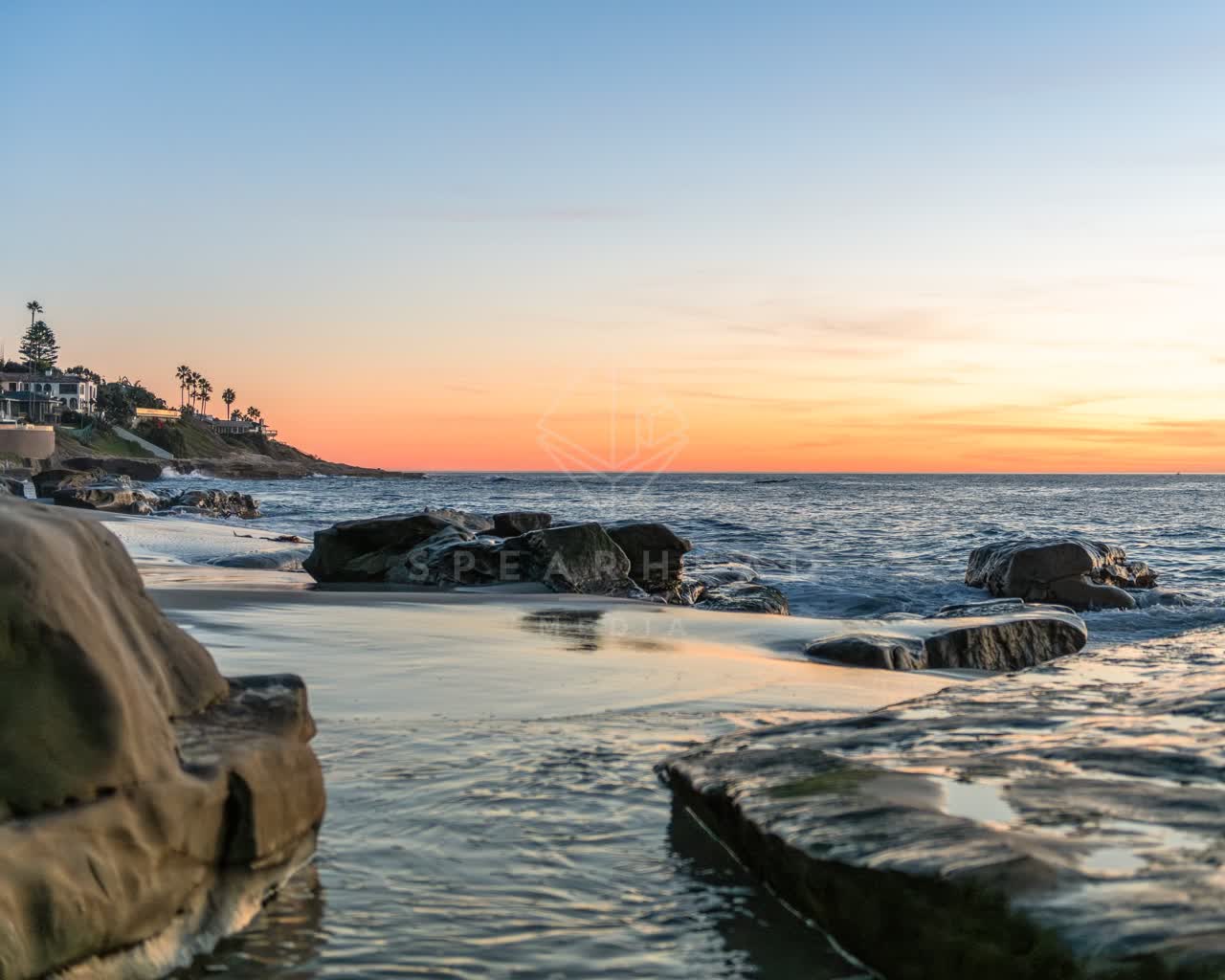 The beach, palm trees and the ocean at Windansea.