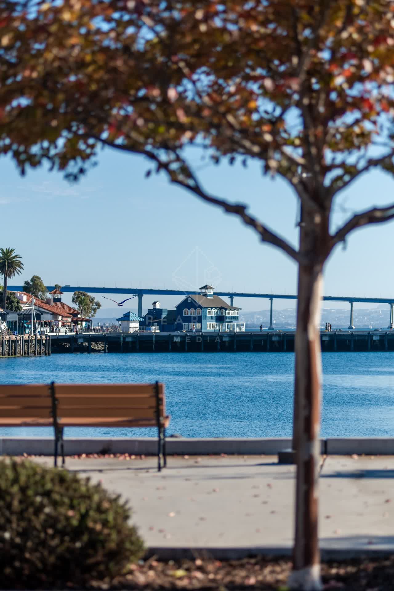 The harbor, the bridge and boats at Embarcadero.