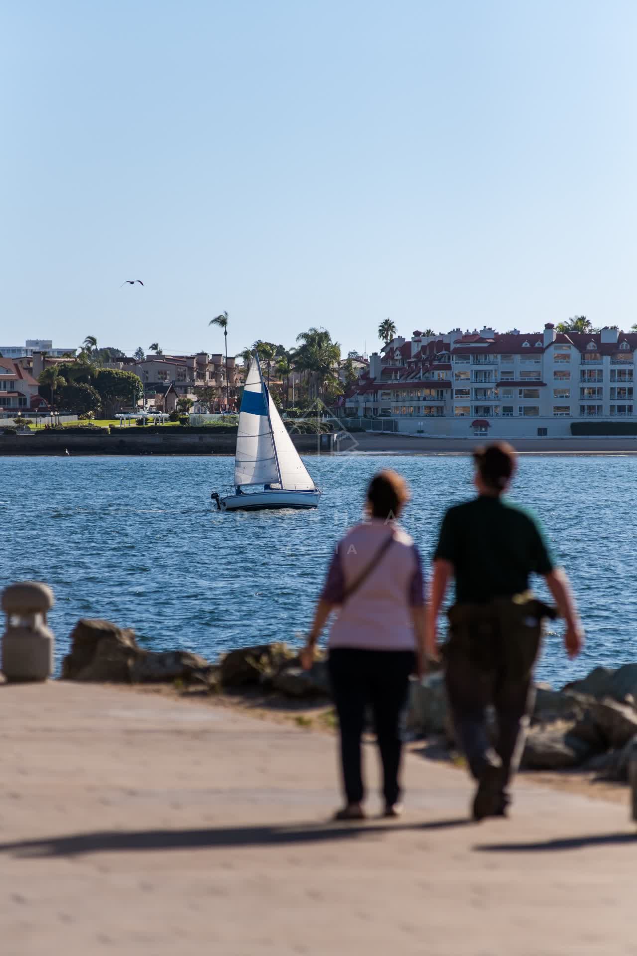The harbor, boats and wildlife at Embarcadero, with people walking.