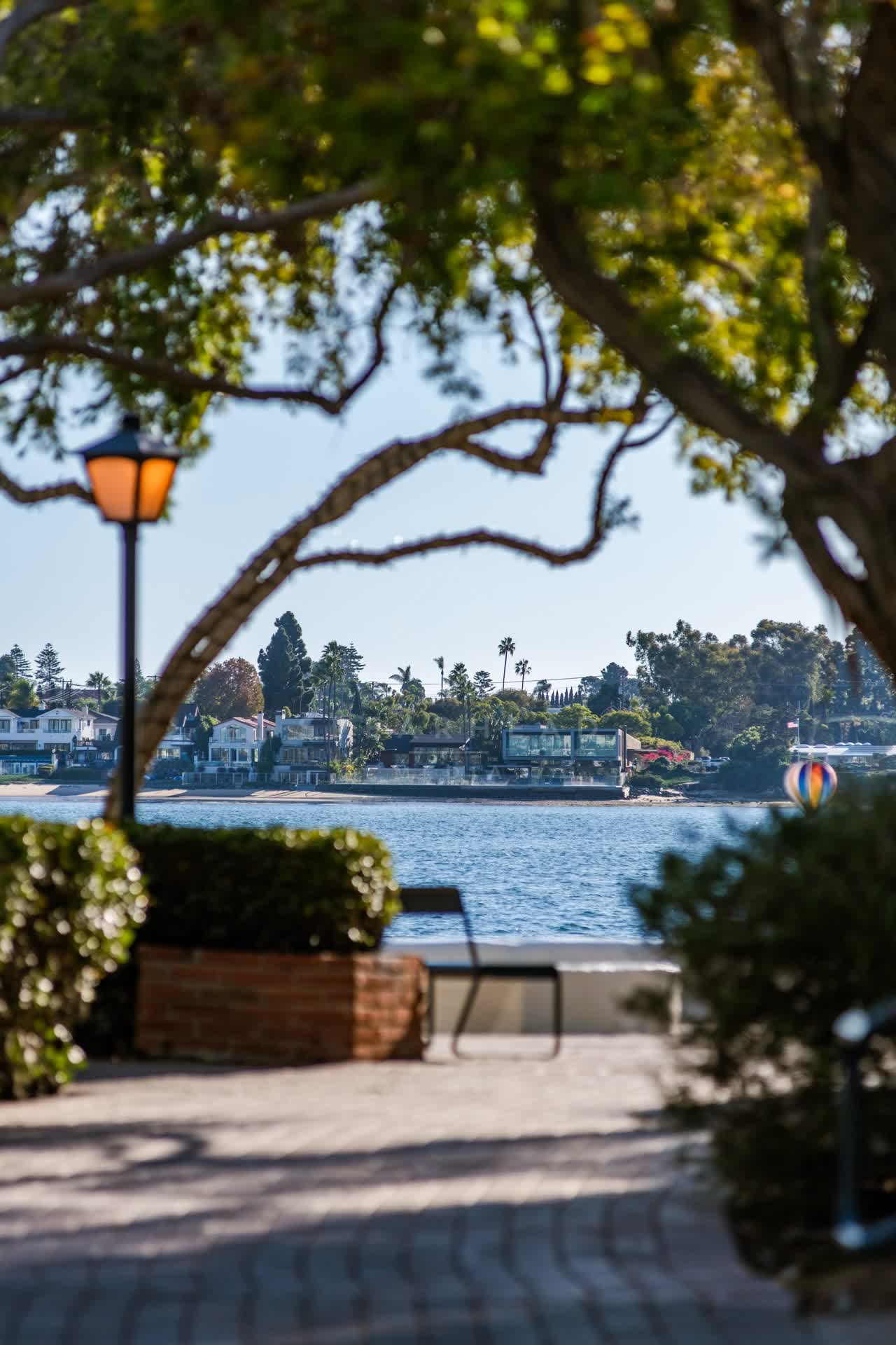 A park, palm trees and the bay at Embarcadero.