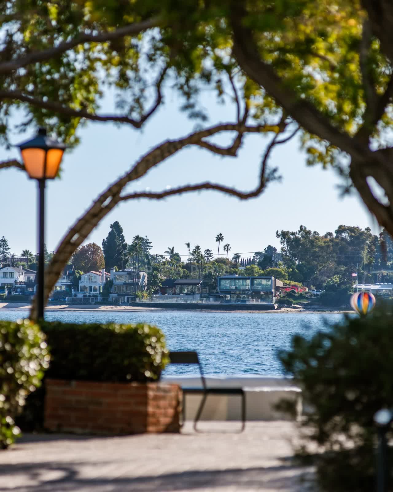 A park, palm trees and the bay at Embarcadero.