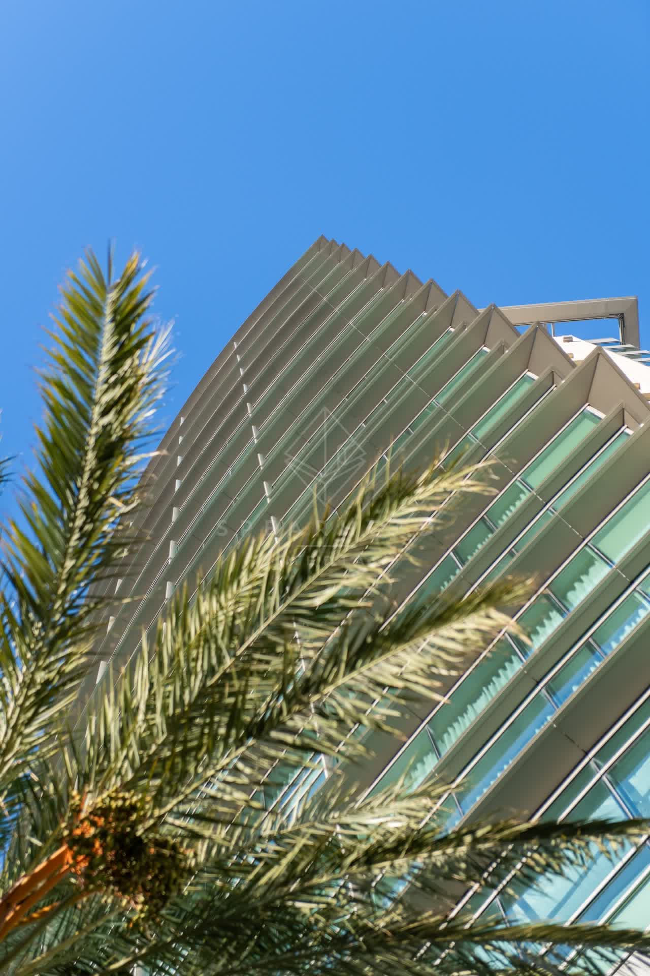The downtown streets, palm trees and the buildings at East Village.