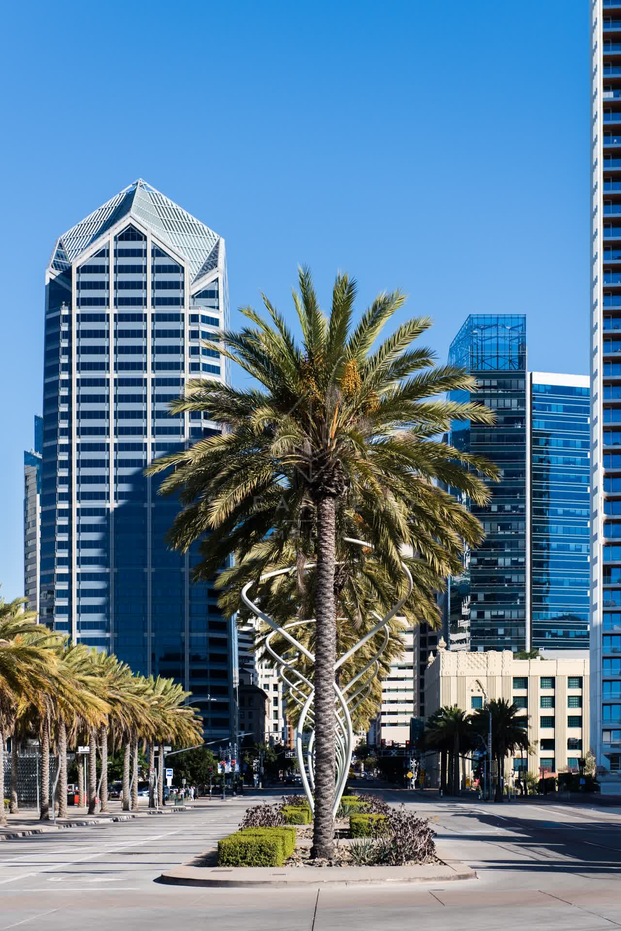 The downtown streets, the skyline and palm trees at San Diego Marina.