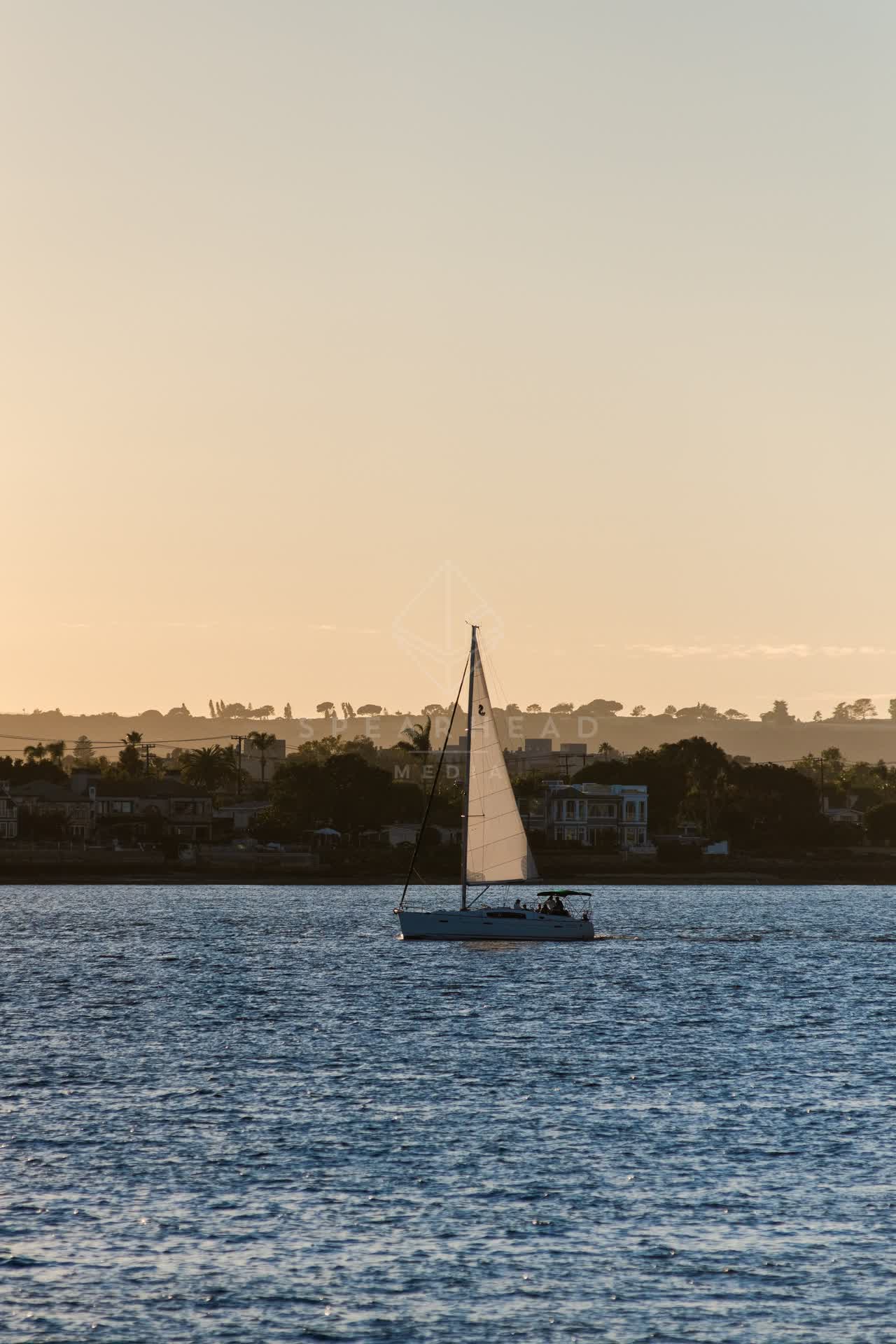View from the water of the harbor, boats and palm trees at Embarcadero, with boats out.